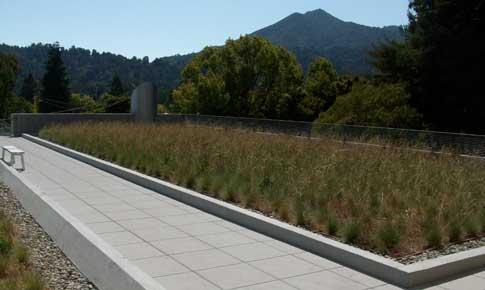 College of Marin Project